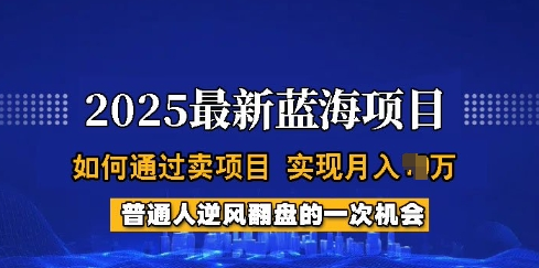 2025年，普通人如何通过卖项目，实现月入过W，全过程-多课资源站